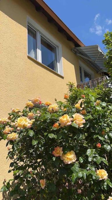 Duesseldorf Messe And Airport, 2-Bedroom Apartment With Kitchen And Garden ドゥイスブルグ エクステリア 写真