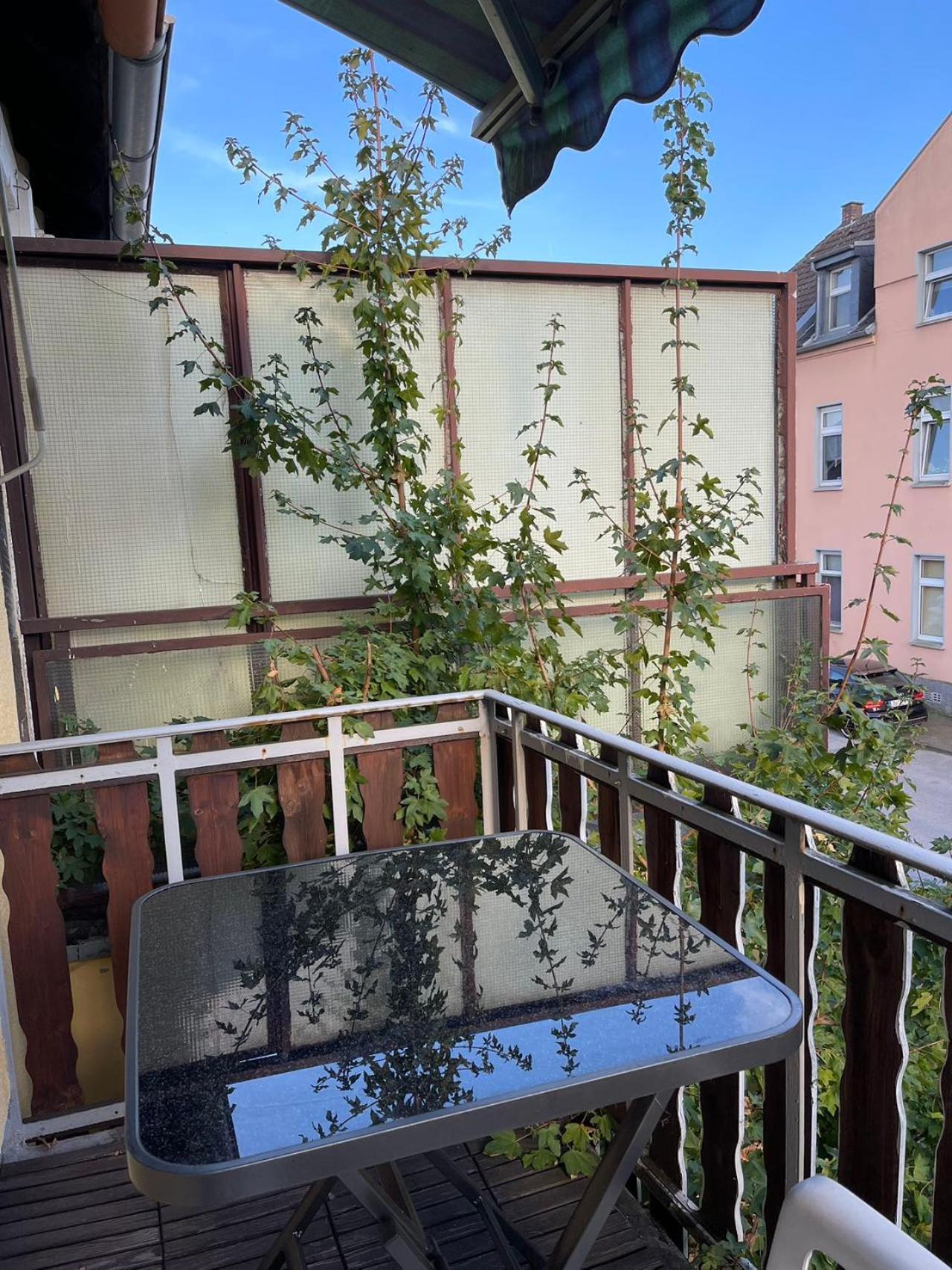 Duesseldorf Messe And Airport, 2-Bedroom Apartment With Kitchen And Garden ドゥイスブルグ エクステリア 写真
